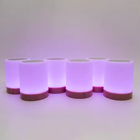 Lampe friendship by LuvLink™ (6 lampes)