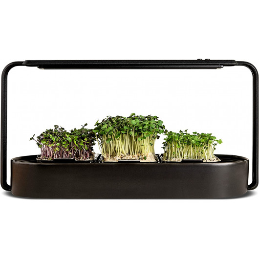 ingarden – Superfood Growing Kit | Indoor Garden with 3 Microgreen Seed Pads | Automated LED Grow Lights | Hydroponic Watering
