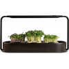 ingarden – Superfood Growing Kit | Indoor Garden with 3 Microgreen Seed Pads | Automated LED Grow Lights | Hydroponic Watering