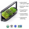 ingarden – Superfood Growing Kit | Indoor Garden with 3 Microgreen Seed Pads | Automated LED Grow Lights | Hydroponic Watering