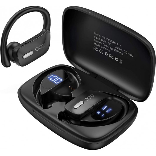 Écouteurs Bluetooth Haute Performance - Écouteurs Véritablement Sans Fil, Étanches avec Microphone pour le Sport & Usage Quotidi