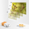 Mini Projector, PVO Portable Projector for Cartoon, Kids Gift, Outdoor Movie Projector, LED Pico Video Projector for Home