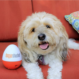 Doggie Shusher Portable Dog Calming Aid – Relaxing Sound Machine