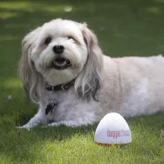 Doggie Shusher Portable Dog Calming Aid – Relaxing Sound Machine with USB-C Charger – Soothes Dog Anxiety and Separation Anxiety
