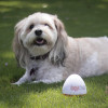 Doggie Shusher Portable Dog Calming Aid – Relaxing Sound Machine with USB-C Charger – Soothes Dog Anxiety and Separation Anxiety