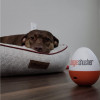 Doggie Shusher Portable Dog Calming Aid – Relaxing Sound Machine with USB-C Charger – Soothes Dog Anxiety and Separation Anxiety