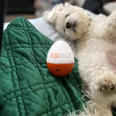 Doggie Shusher Portable Dog Calming Aid – Relaxing Sound Machine with USB-C Charger – Soothes Dog Anxiety and Separation Anxiety