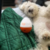 Doggie Shusher Portable Dog Calming Aid – Relaxing Sound Machine with USB-C Charger – Soothes Dog Anxiety and Separation Anxiety