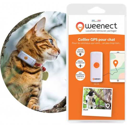 Weenect Cats 2 : Traceur GPS Avancé pour Chats