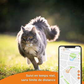 Weenect Cats 2 : Traceur GPS Avancé pour Chats