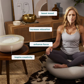 Discover Your Zenitude with Zenbowl - Your Path to Inner Peace