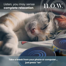 n.o.w. Tone Therapy System - Stress Relief in 3 Minutes