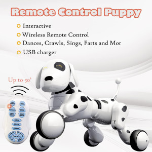 Dalmatian dog and smart robot dog words