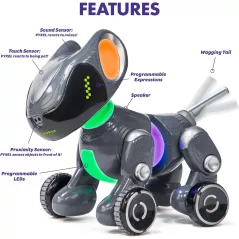 Robot de Codage PYXEL par Educational Insights - Apprenez à coder