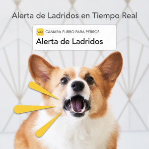 Caméra Furbo pour Chiens: Surveillance HD & Lancer de Friandises