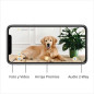 Furbo Dog Camera: Treat Tossing, 2-Way Audio, and Bark Alert - Keep Your Furry Friend Happy!