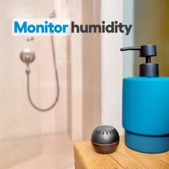 Optimisez Votre Environnement avec le Capteur Shelly