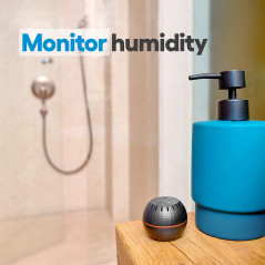 Shelly Smart Sensor: Precision Climate Control at Your Fingertips