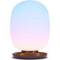 SKYVIEW Wellness Lamp: NASA-Inspired Light Therapy for Enhanced Sleep, Mood & Focus