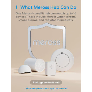 Meross Smart Smoke Alarm with Hub: Real - Time Alerts and Safety