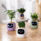 Ivy Smart Pet Planter: Grow Smarter with Emoji Feedback & Auto Watering! Perfect Desk Plant Companion
