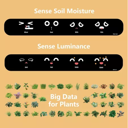 Jardinière Intelligente PLANTSIO : Votre Expert en Plantes dIntérieur avec Émojis ! 🌱