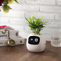 Jardinière Intelligente avec Émojis .Jardiner en s'amusant