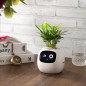 Ivy Smart Pet Planter: Grow Smarter with Emoji Feedback & Auto Watering! Perfect Desk Plant Companion
