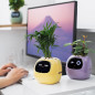 Ivy Smart Pet Planter: Grow Smarter with Emoji Feedback & Auto Watering! Perfect Desk Plant Companion