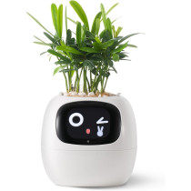 Jardinière Intelligente avec Émojis .Jardiner en s'amusant