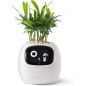 Ivy Smart Pet Planter: Grow Smarter with Emoji Feedback & Auto Watering! Perfect Desk Plant Companion