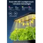 Inbloom Jardin Hydroponique dIntérieur: 12 Pots, Lumière LED Ajustable & Arrosage Automatique – Cultivez Facilement!