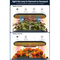 Inbloom 12 Pods Système Hydroponique Kit de Jardinage Intérieur