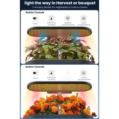 Inbloom 12 Pods Système Hydroponique Kit de Jardinage Intérieur