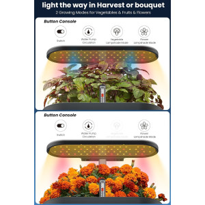Inbloom 12 Pods Hydroponic Growing System  Easy Indoor Gardening Kit.