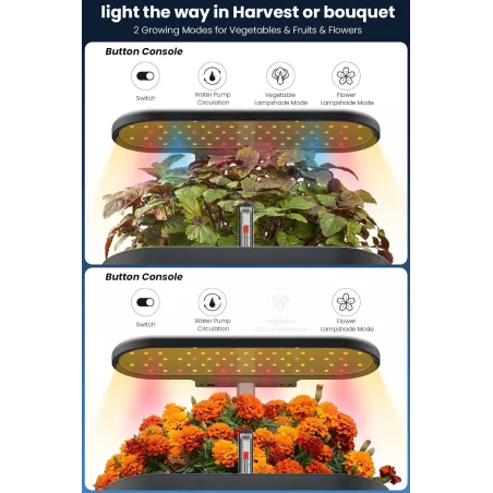 Inbloom 12 Pods Système Hydroponique Kit de Jardinage Intérieur