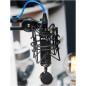 Blue Blackout Spark SL XLR Mic: Pro Studio Sound for Podcast, Streaming & Gaming - FREE SHIPPING!