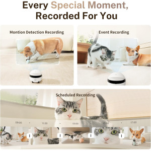 Enabot EBO ROLA Mini Caméra 2K avec Autonomie de 25 Jours