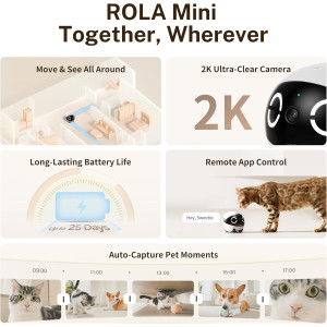 Enabot EBO ROLA Mini Caméra 2K avec Autonomie de 25 Jours