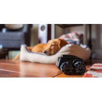 Moorebot Scout - Mobile Robot Camera for Home Monitoring & Fun