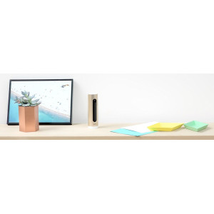 Welcome, La caméra à reconnaissance faciale de Netatmo
