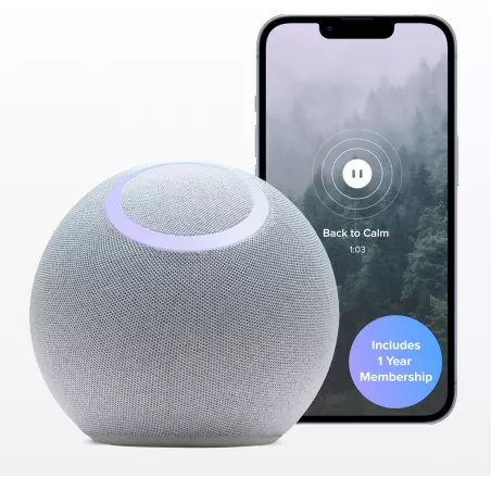 Orb Reflect : Dispositif de Relaxation et Pleine Conscience