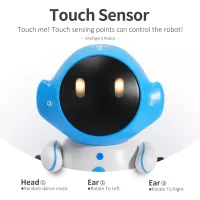 Your child’s new best friend: a smart, dancing, singing, voice-controlled robot!
