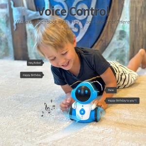 Your child’s new best friend: a smart, dancing, singing, voice-controlled robot!