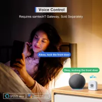Serrure Intelligente Biométrique Argentée : Accès Facile par Empreinte, Code, Alexa – Sécurité Renforcée