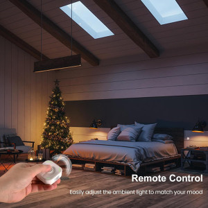 Bouton Intelligent 5-Keys : Contrôleur Apple HomeKit