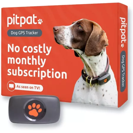 Traceur GPS Chien sans Abonnement: Localisation en Temps Réel & Suivi dActivité