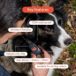 Black Dog GPS Tracker: Real-Time Location, No Subscription! Lifetime SIM & Vet Approved