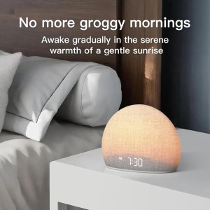 Wake Up Gently: Housbay Sunrise Alarm Clock & White Noise Machine