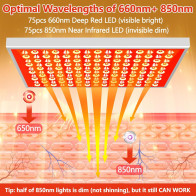 Appareil Thérapie Lumière Rouge 660nm 850nm pour Corps & Visage